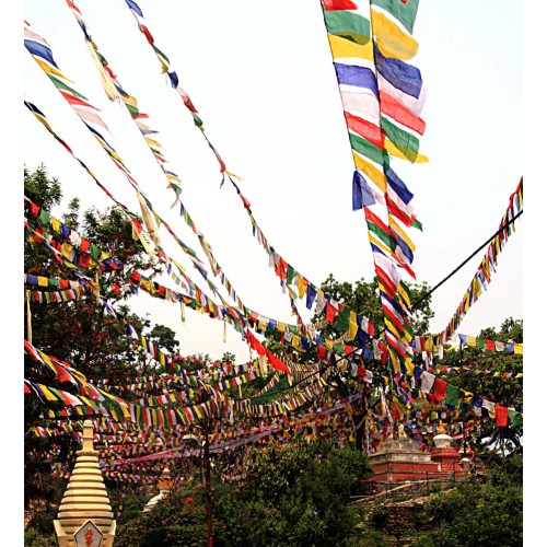 Tibetan, Polister, Cheapest, Horizontal, Prayer Flags (1 packet have 5 rolls and 1 roll have 25 individual flags) - Extra Large Size