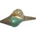 Antique Conch Shell-powerful ancient healing (therapeutic) instrument, Hand work-Turquoise stone-Om Mane Padhme Hum, Green Color - Large Size