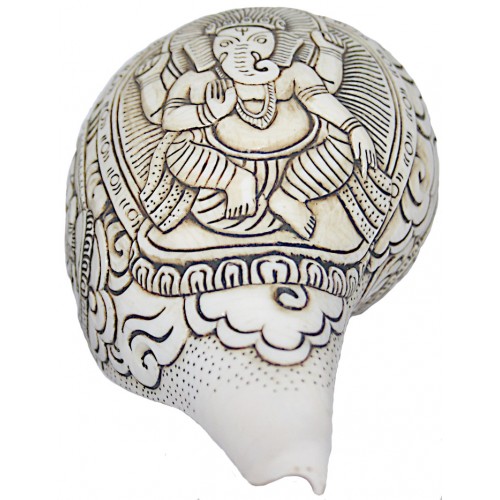 Ganesh Carving Conch Shell(SANKHA), powerful ancient healing (therapeutic) instrument, Hand work, White Color - Small Size