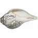 Ganesh Carving Conch Shell(SANKHA), powerful ancient healing (therapeutic) instrument, Hand work, White Color - Small Size