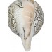 Ganesh Carving Conch Shell(SANKHA), powerful ancient healing (therapeutic) instrument, Hand work, White Color - Small Size