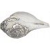 Ganesh Carving Conch Shell(SANKHA), powerful ancient healing (therapeutic) instrument, Hand work, White Color - Small Size