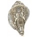 God Vishnu Carving Conch Shell (SANKHA), powerful ancient healing (therapeutic) instrument, Hand work, White Color - Medium Size