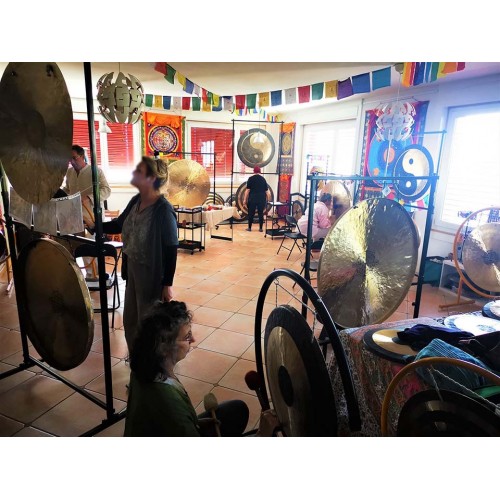 Therapeutic Gong Master Course  (Gong Healing Intensive course) on 18 & 19  May 2024, level "I"